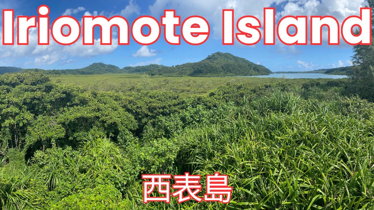 Исследование джунглей и пляжей дикого острова Иримоте | Окинава/ Прогуляйтесь по острову Иримоте!