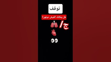 #حالات_واتس #إسلام_صبحي #تلاوة_مؤثرة #تلاوة_خاشعة #صوت_يريح_القلب #قرآن #صلوا_علي_النبي #اكسبلور