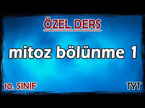 1) Mitoz Bölünme 1 - Özel Ders (10. Sınıf)
