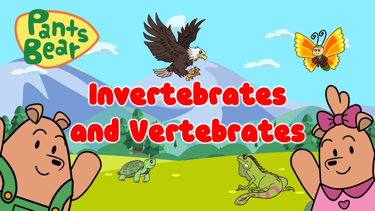 Invertebrates and Vertebrates | Animals with Backbones vs No Backbones | Animal Classification