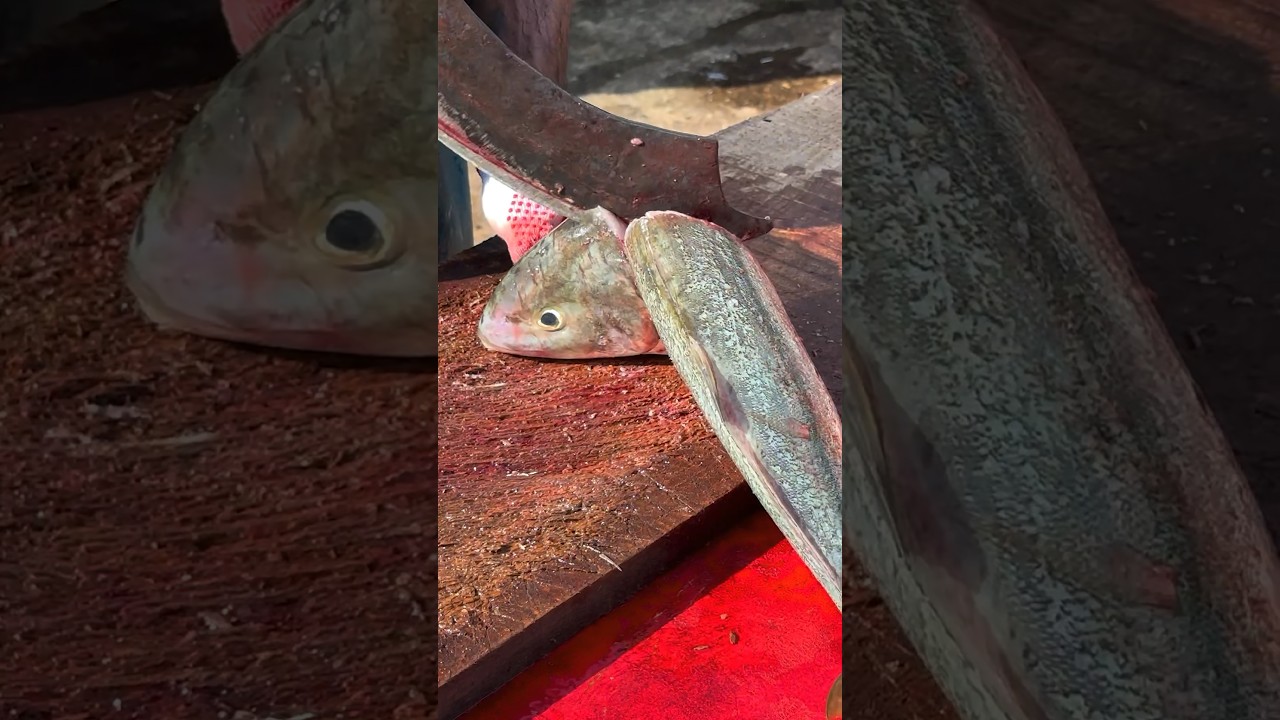 Trevally Fish Master Cutting Skills | Speed Fish Cutting Skills