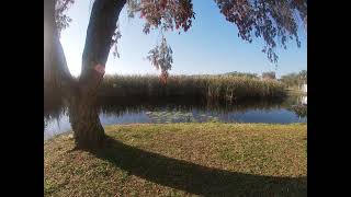 Hiking the Savanahs Recreation area in Fort Pierce,Florida