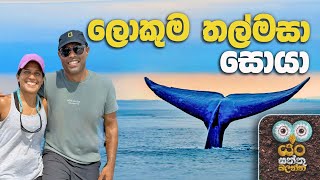     Dr Ru Somaweera   rugoeswild