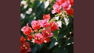 Bertemu Lagi di Hari Minggu