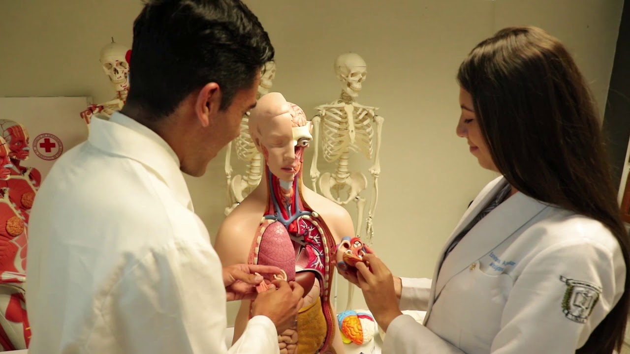 UNSA // Conviértete en un Profesional Médico Círujano camera iphone 8 plus apk