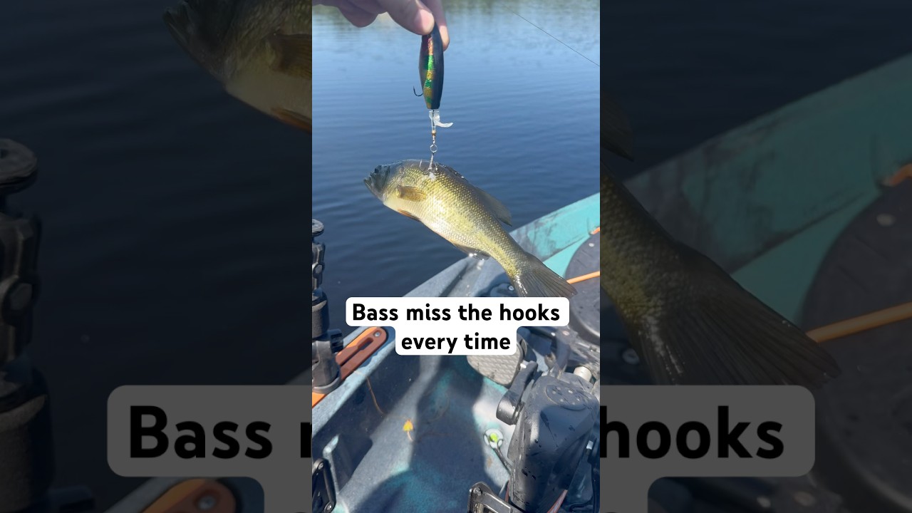 Bass miss the whopper plopper every time. 