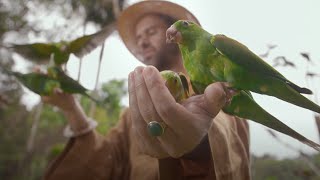 Me Sinto Bem | Feito Pra Acabar 10 Anos | Marcelo Jeneci