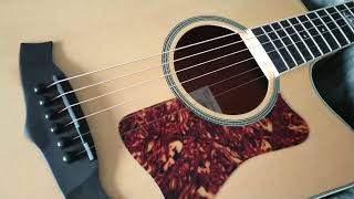 New Guitar Tanglewood Acoustic Electric How Does It Sound?