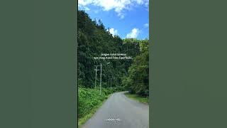 SELF HEALING TERBAIK || LITERASI 30 DETIK || STORY WA AESTHETIC