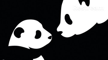 dates times and who is who