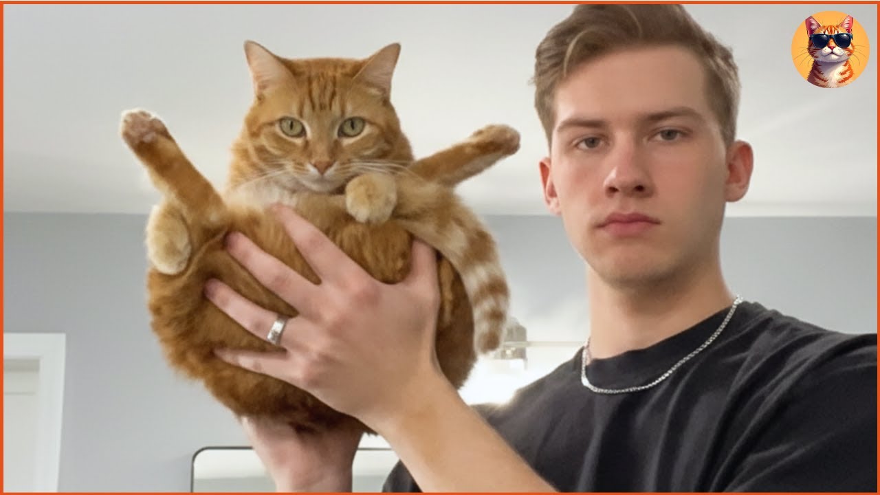 Познакомьтесь с папой-котом, который узнал, что такое настоящая любовь, от своего питомца.