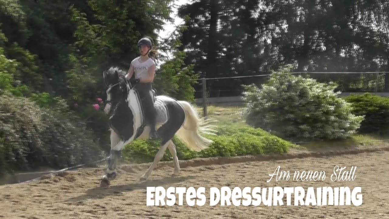 Unser erstes Dressurtraining am neuen Stall