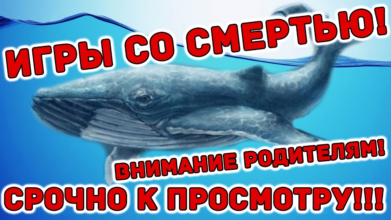 Магазин Синий Кит Липецк
