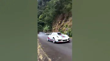 Porsche 911 GT3 Rally Car Pure Sound 