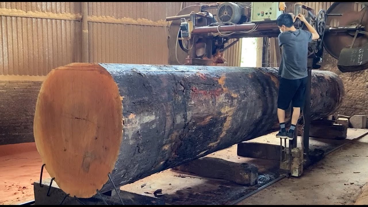 Fastest Large Wood Sawmill Machine Working - The Process Of Producing ...