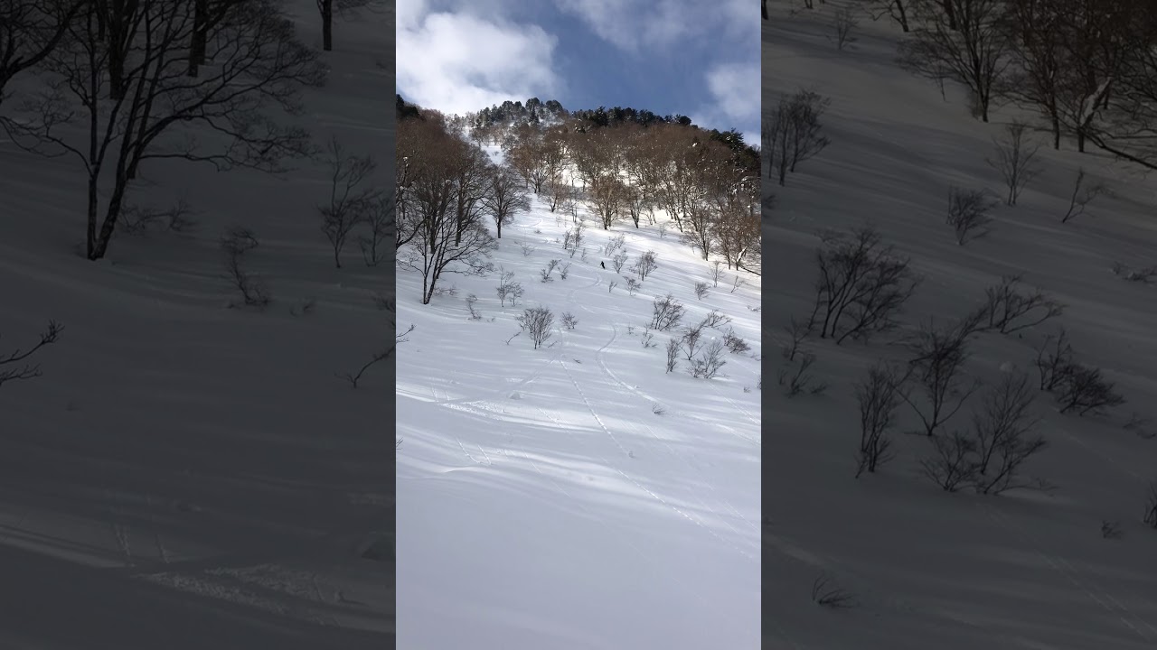 18 02 19 皈雲山 北東斜面 Taroさん03 Youtube