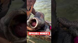 Moments From The Animal Kingdom You Never Imagined Seeing…But Here They Are Net Worth