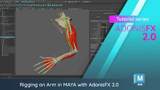 Celebrity AdonisFX 2.x Tutorial: Rigging a Simulated Arm in Maya (links in description) Wealth