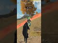 ☠️  #callofduty #callofdutymobile #codmobile