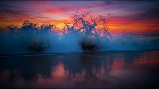 Florida Gulf Coast at Sunset - The Most Beautiful Beach in America | Jackson Laurie Coasts