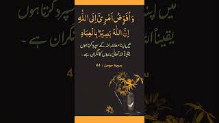 Al Quran - Surah Al Momin - Ayat # 44 Al Quran - Surah Al Momin - Ayat # 44