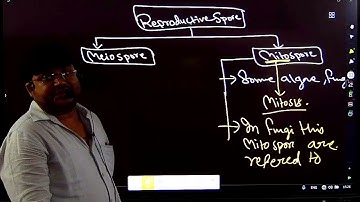 How Do Organisms Reproduce (Animation) PART-1| CBSE Class 10 Biology Chapter 7 | NCERT