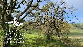 Speaker Series Peninsula Open Space Trust with Mark Medeiros