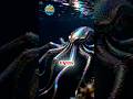 The Deep Sea Mysteries We Still Can’t Explain #amazingfacts #crazyfacts #facts #mindblowing