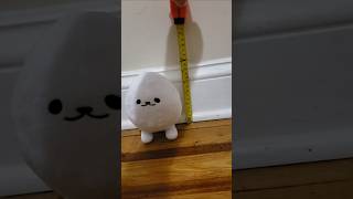 eggdog height