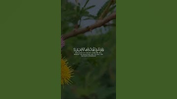 الْمَالُ وَالْبَنُونَ زِينَةُ الْحَيَاةِ الدُّنْيَا | تلاوة الشيخ علي جابر