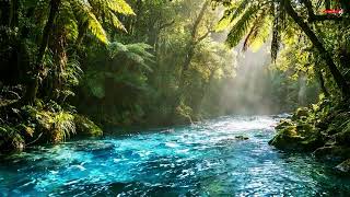 High Fidelity Nature ASMR Pure River Water Sounds with Spatial Audio Depth for Deep Sleep