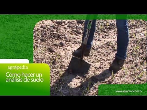 Video: Análisis de suelo - ¿Qué muestra un análisis de suelo?