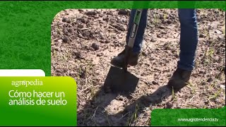 Cómo hacer un análisis de suelo │ Agro en 2 minutos