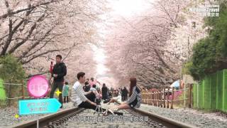 美麗華旅遊：韓國 釜山鎮海 慶和火車站