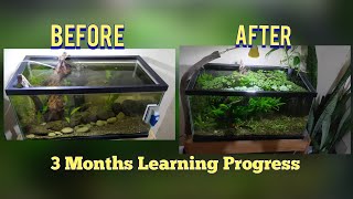 Cheap Common Lowtech Easy Maintenance Aquarium Plants December 2022