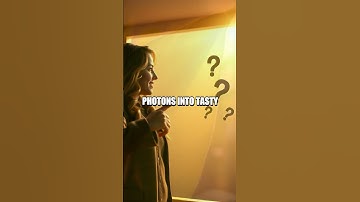 The Colourful Secret of Leaves