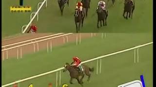 (66)The F. D. Wadia Trophy (Gr.3)  Aug 25, 2018 Winner - EXCELLENT