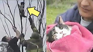 After being lost for 3 days, a cat is rescued from a tree and returned to his family!