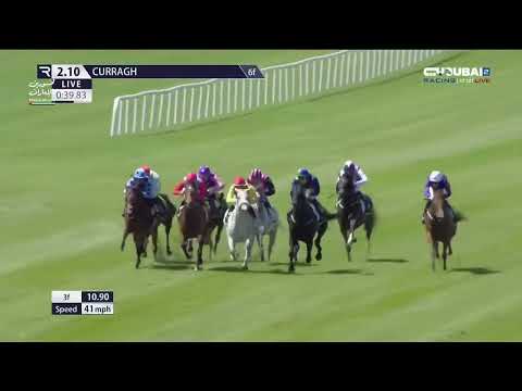 "بيغ غوساي" بقيادة الفارس ويليام لي،يفوز بالشوط الثالث Jebel Ali Racecourse & Stables Dash Stakes