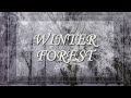 Слайдшоу. Зимний лес. Winter forest.