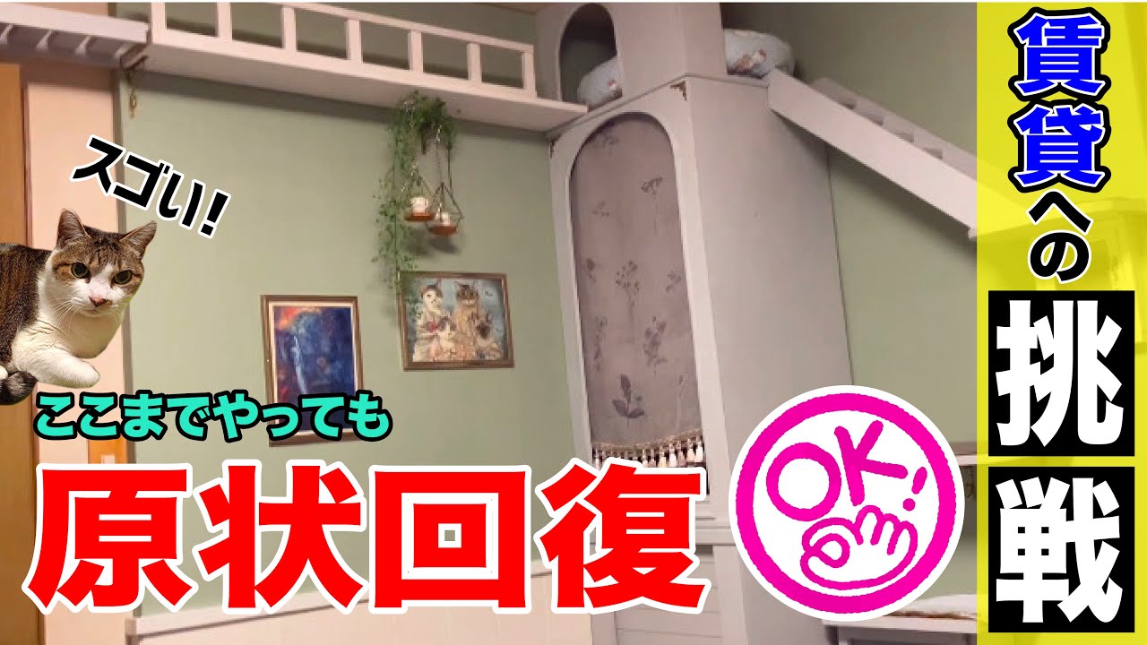 Cat Room DIY #5】DIY Rental Apartment Wall Transformation for a