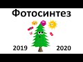 10. Фотосинтез (6 класс) - биология, подготовка к ЕГЭ и ОГЭ 2020