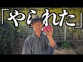 【トラブル】ご近所さんの敷地で勝手に大量に採ると仕返しされました…