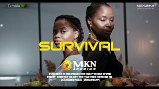 Afro Instrumental ( SURVIVAL) 2026, zouk | Amapiano | Kompa | R&amp;B | Afropop | County, type beat
