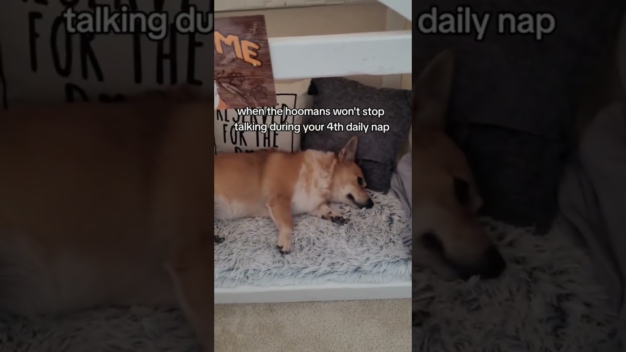 I need my beauty sleep 😒 