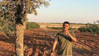 Bozkırın Ruhu - Toprak Yollar