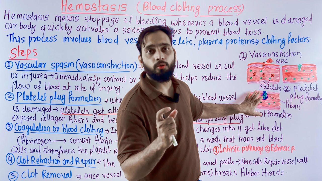 Hemostasis | Hemostasis physiology | hemostasis and blood coagulation physiology|hemostasis in hindi