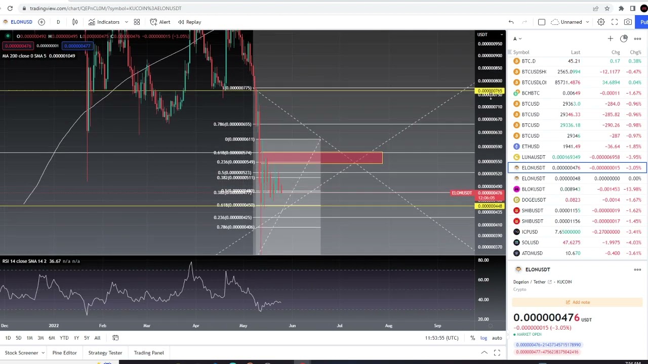 elon coin crypto price prediction