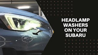Player Profile Omg! Did you know the SUBARU XV cleans it's own headlamps?!