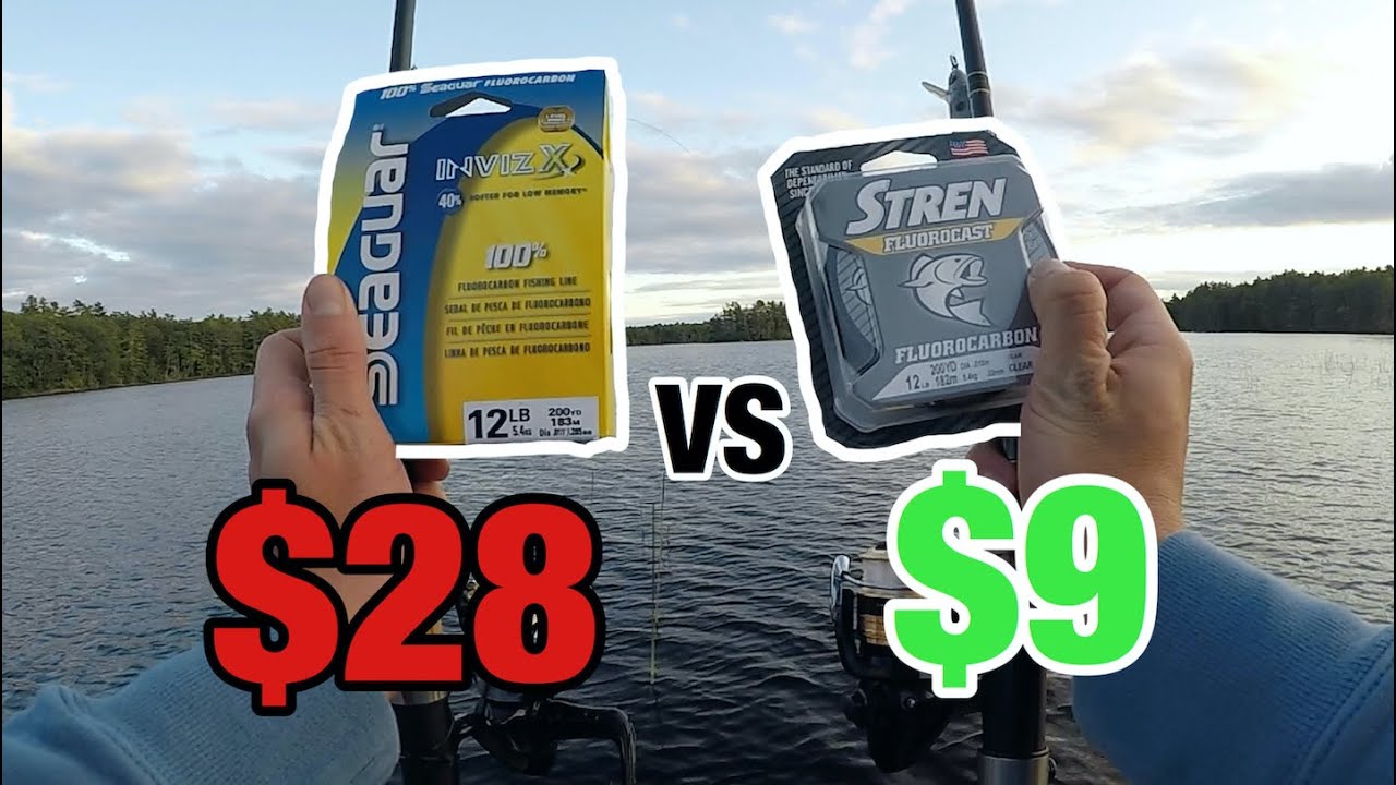 CHEAP vs EXPENSIVE Fishing LINE (Does it MATTER?) YouTube